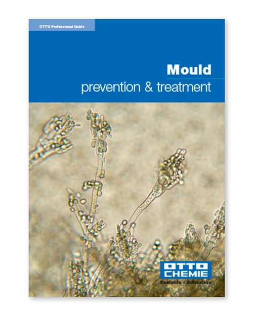 Mould prevention & treatement